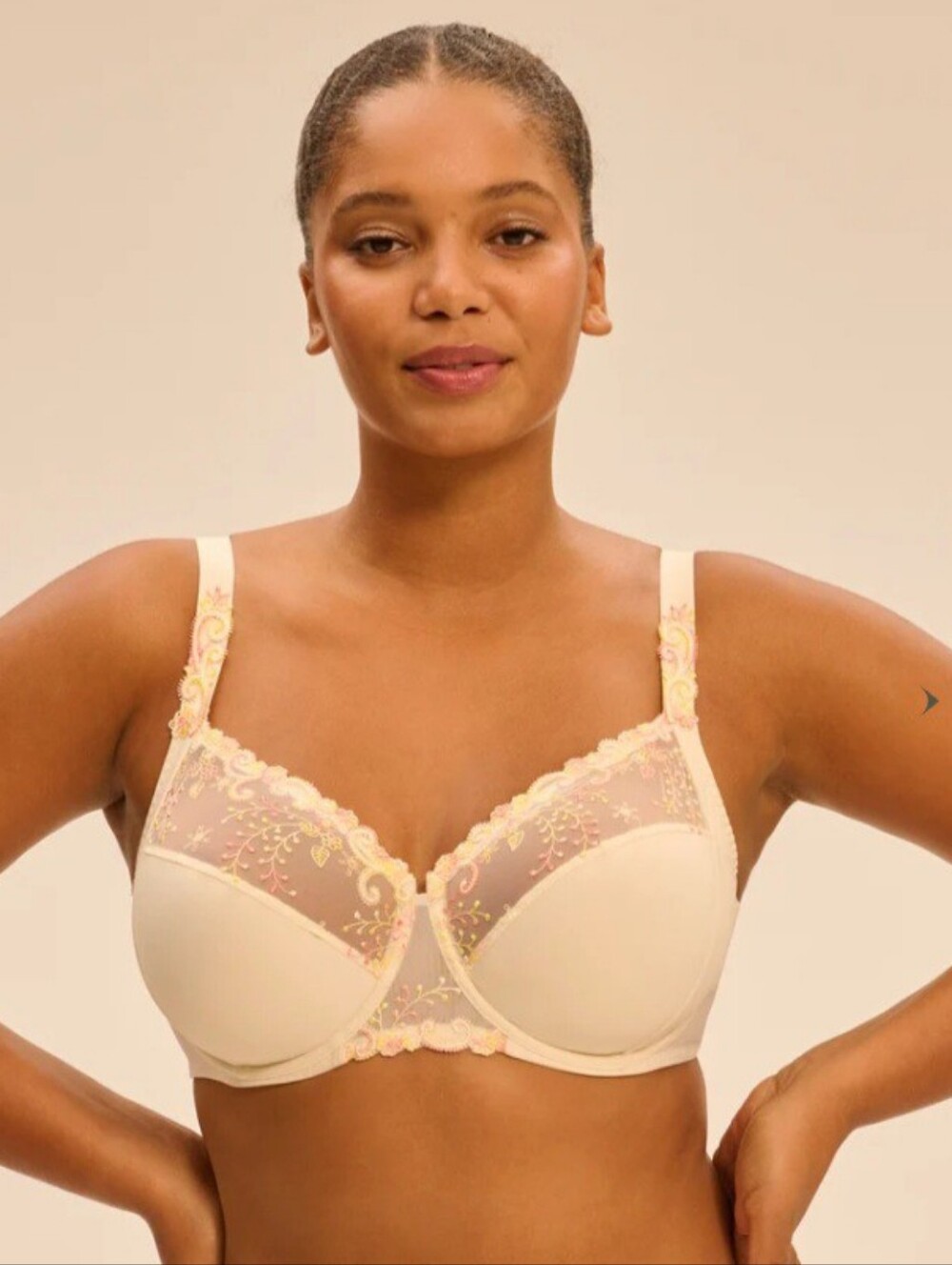 Simone Perele Delice Full Cup Embroidered Underwire Bra, Size 34DD